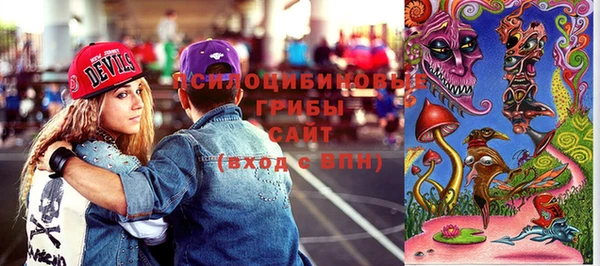 прущие грибы Абинск