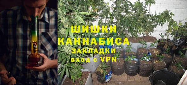 прущие грибы Абинск