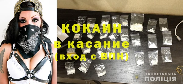 прущие грибы Абинск